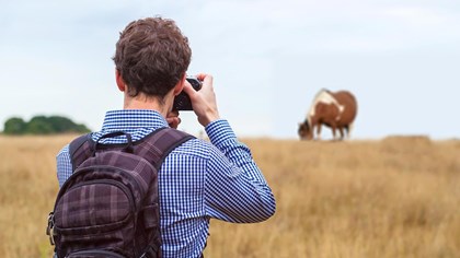 someones taking a wonderful image of a wild horse!