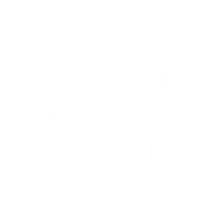 A outline of a horse