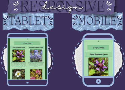 Responsive views of the Wildflowers website.