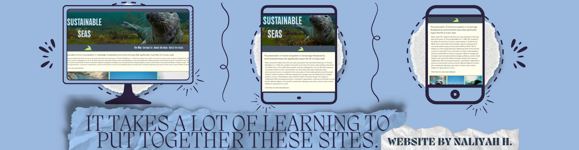 An image with a light blue background, the bottom center reading 'It takes a lot of learning to put together these sites'. A computer, tablet, and phone are all showing a website, each layout different.